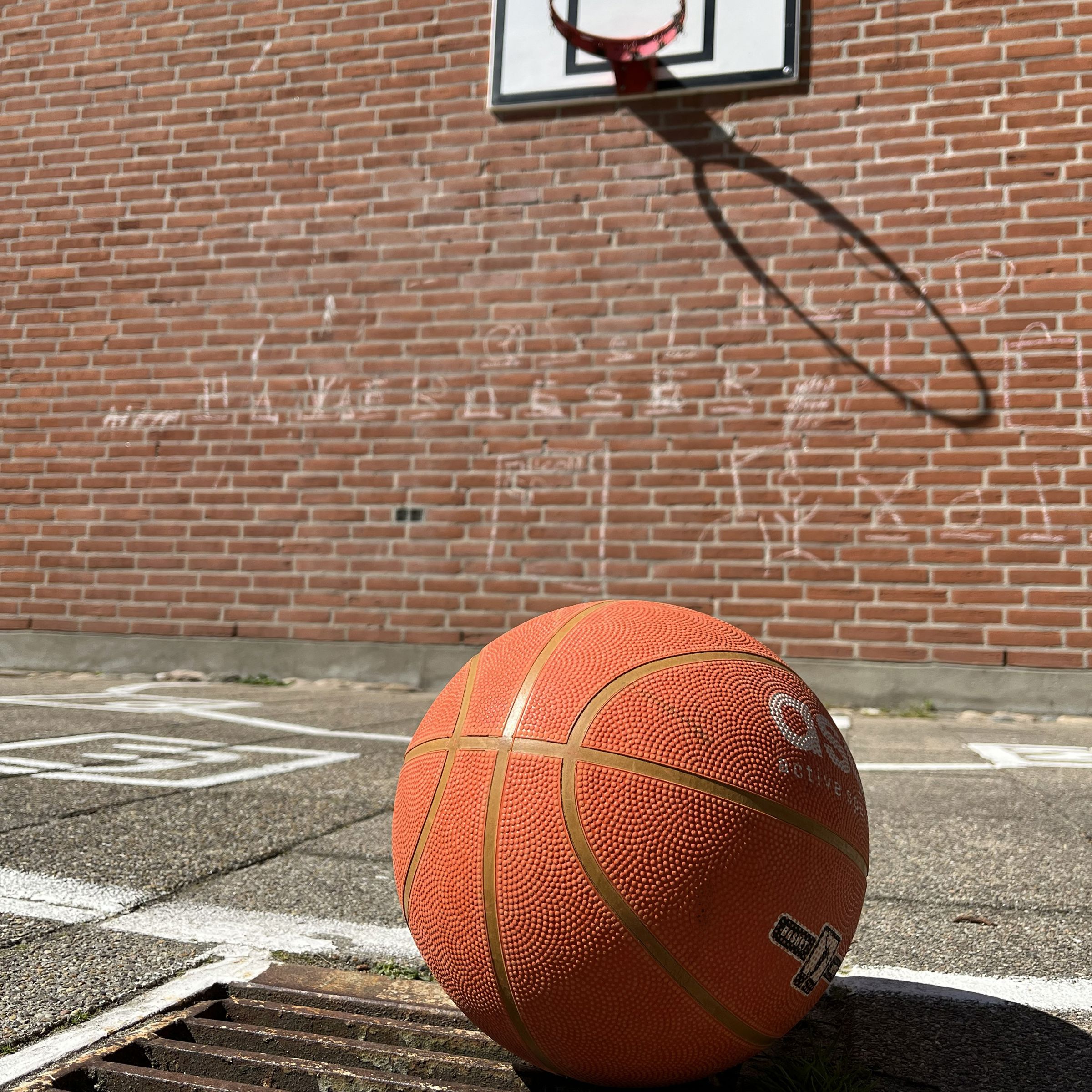 Basketbold På Jorden